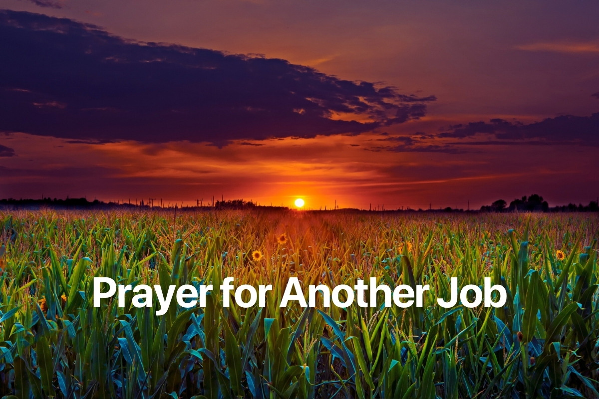 Prayer for Another Job