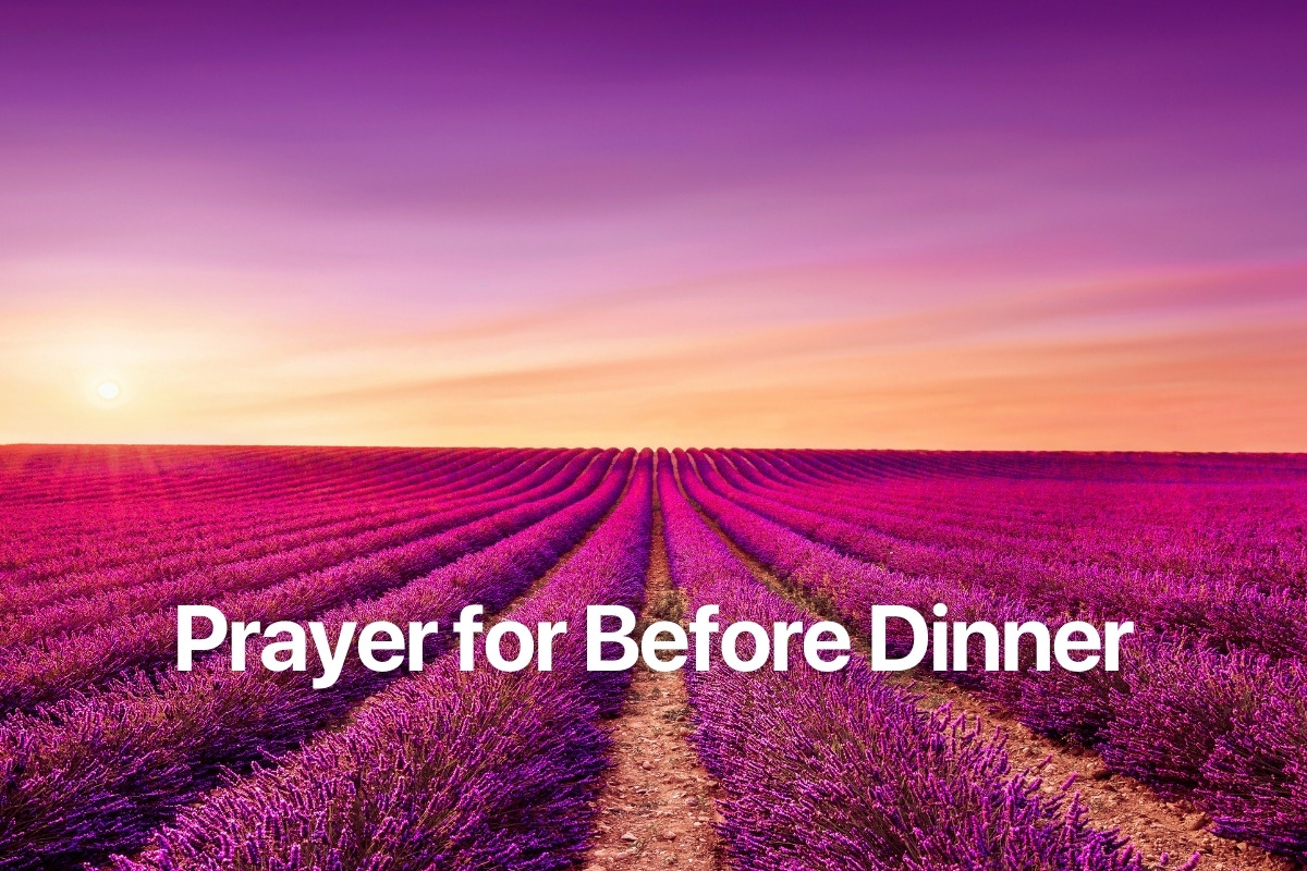 Prayer for Before Dinner