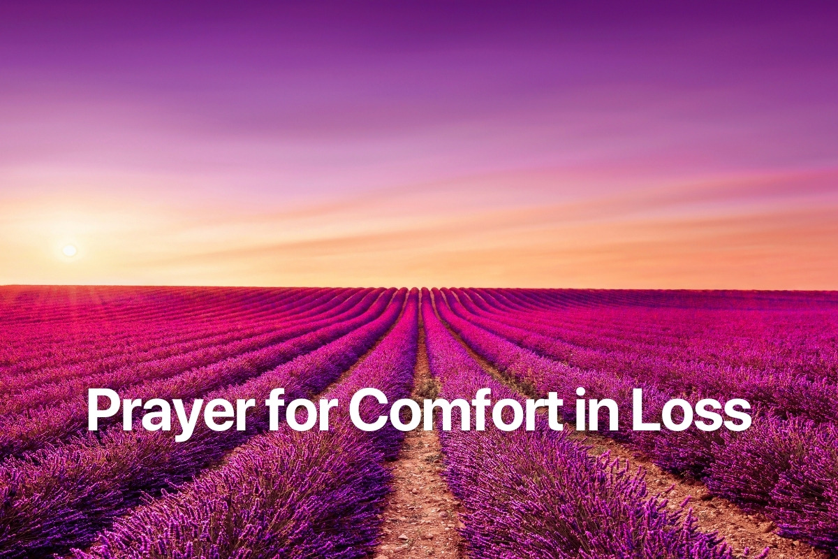 Prayer for Comfort in Loss