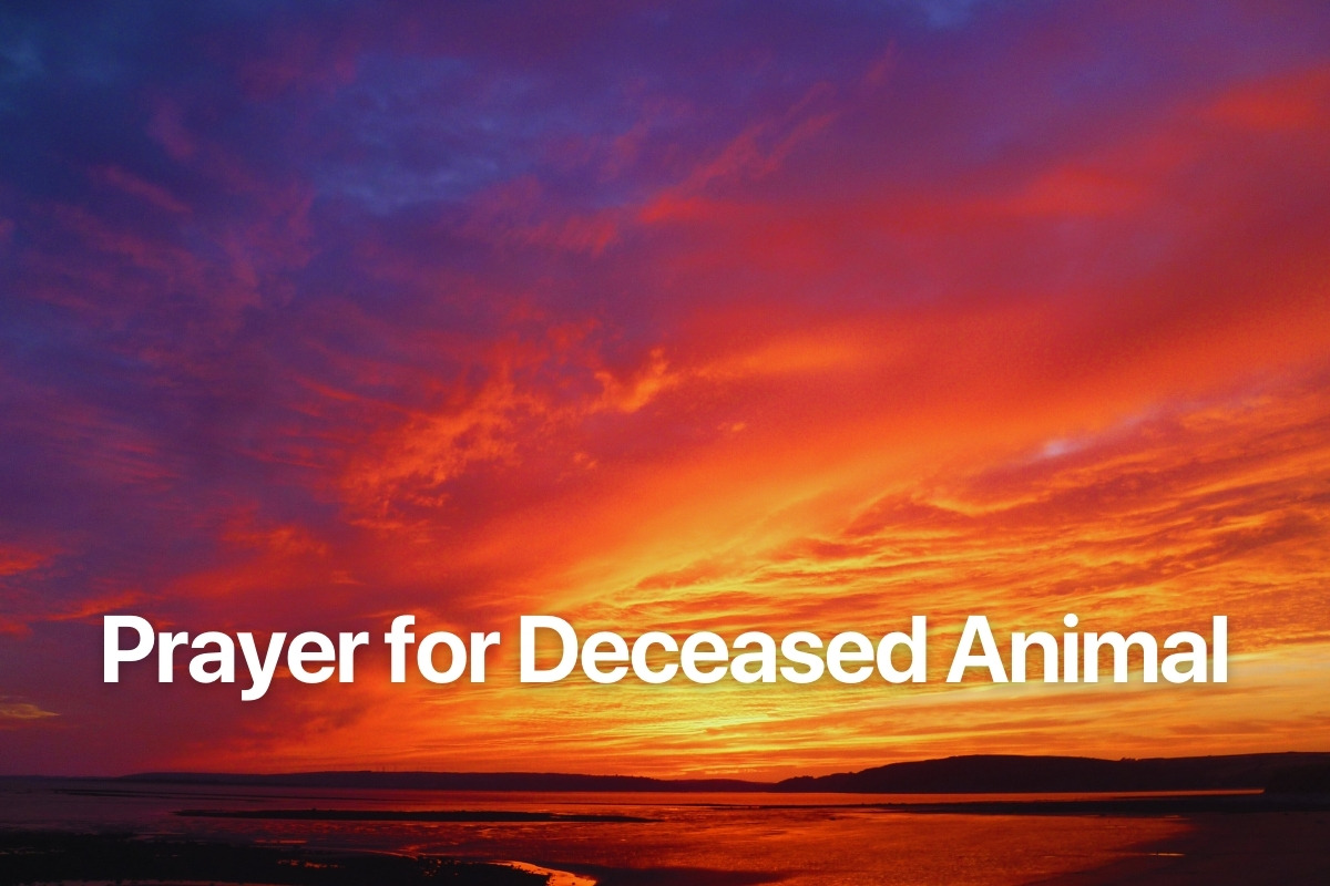 Prayer for Deceased Animal