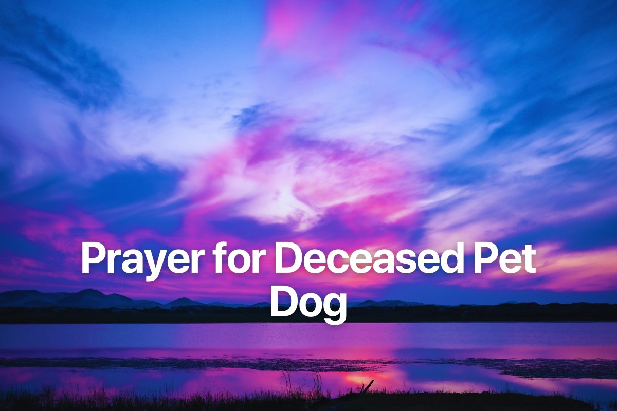 Prayer for Deceased Pet Dog