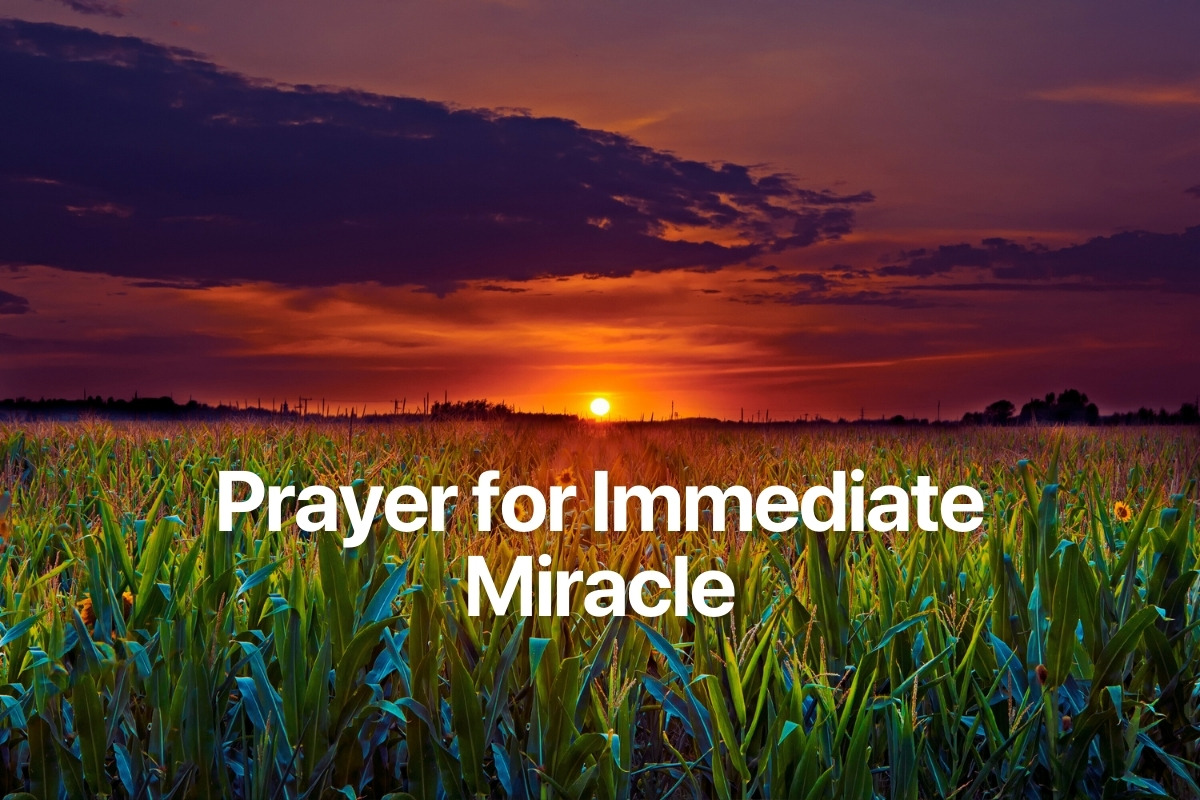 Prayer for Immediate Miracle