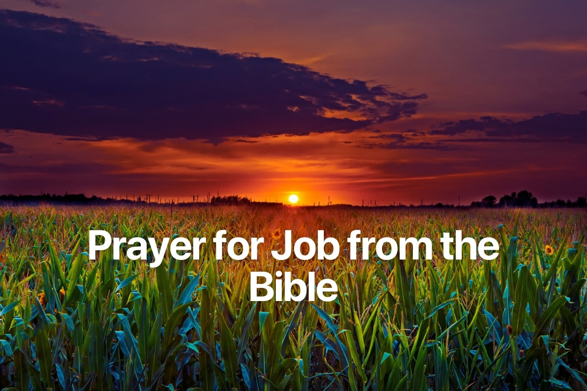 Prayer for Job from the Bible