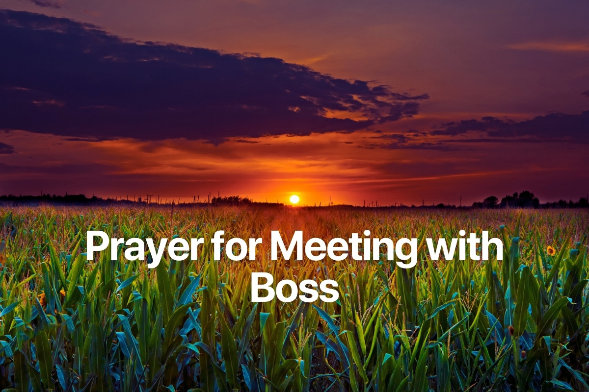 Prayer for Meeting with Boss