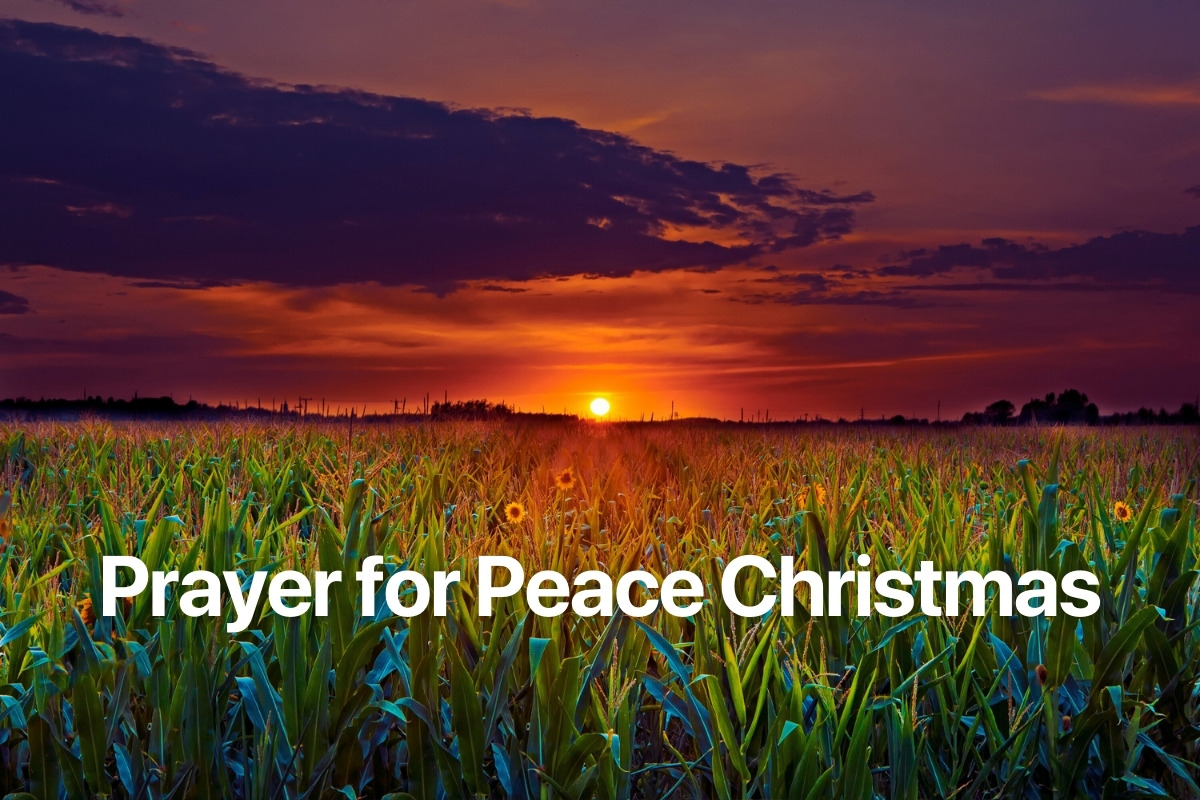 Prayer for Peace Christmas