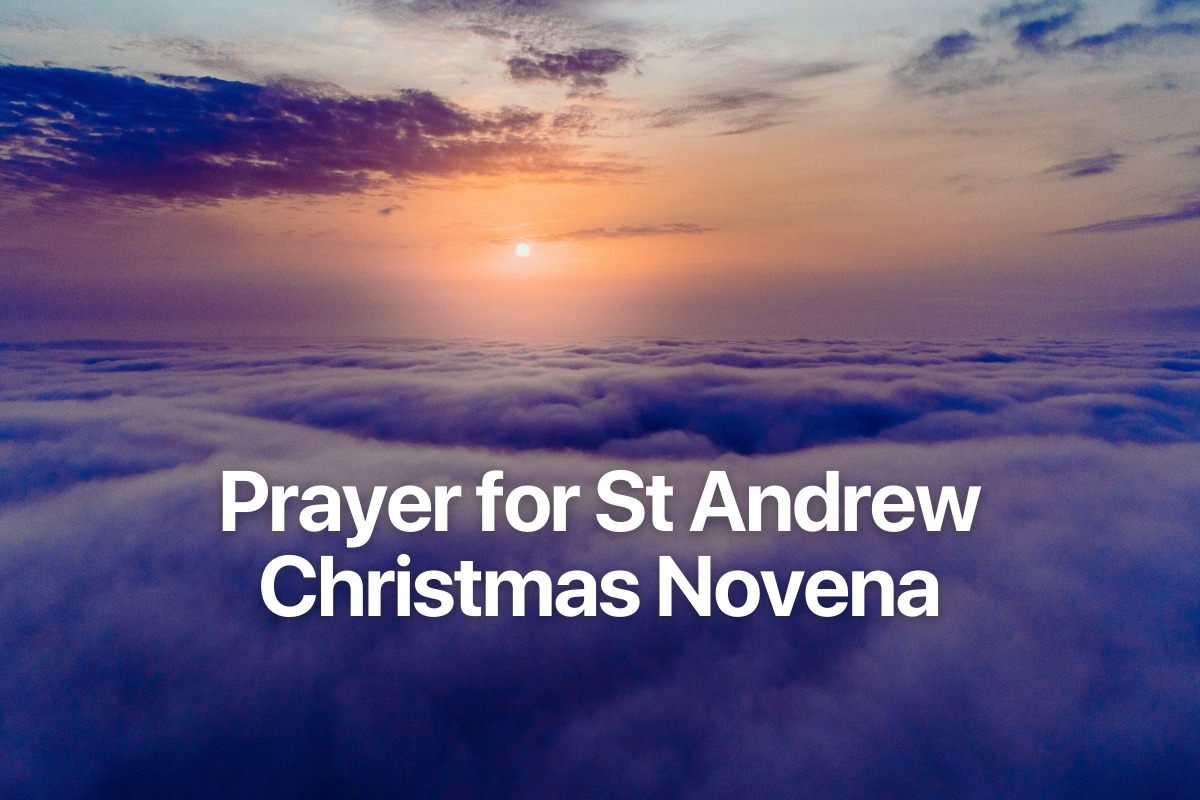 Prayer for St Andrew Christmas Novena