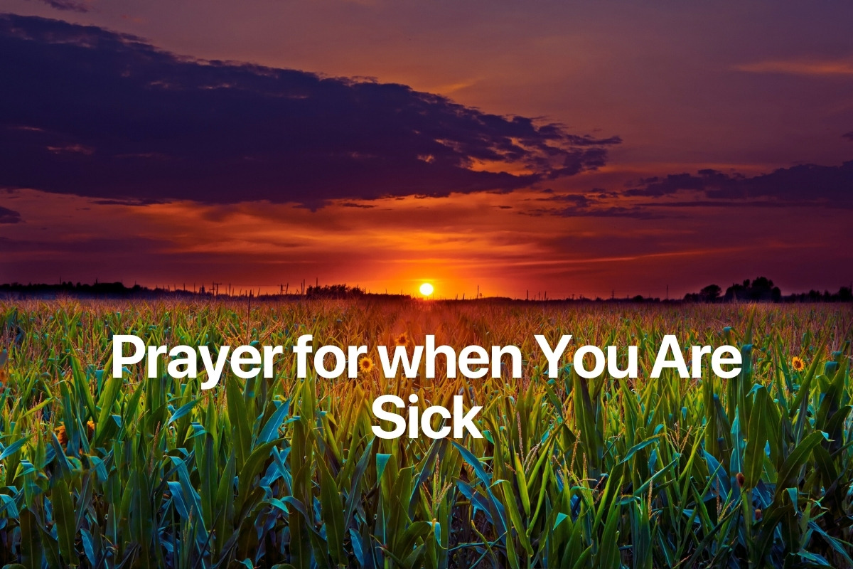 Prayer for when You Are Sick