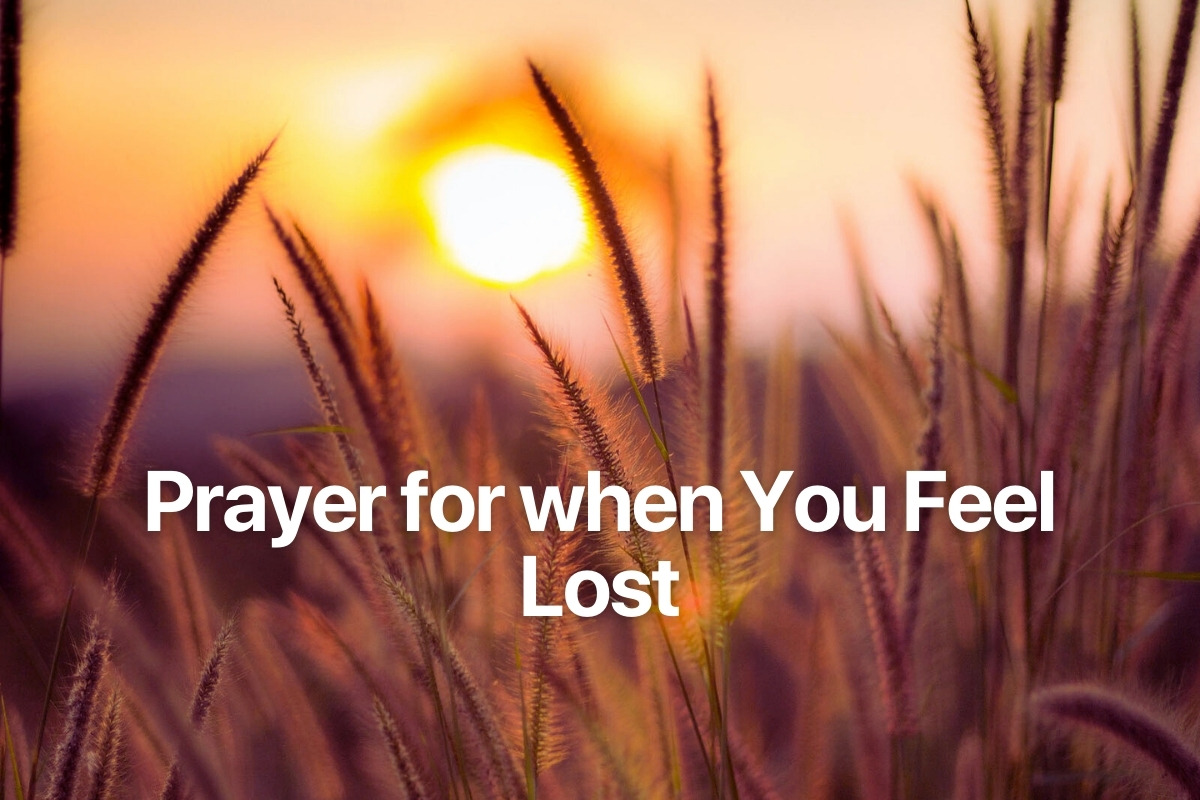 Prayer for when You Feel Lost