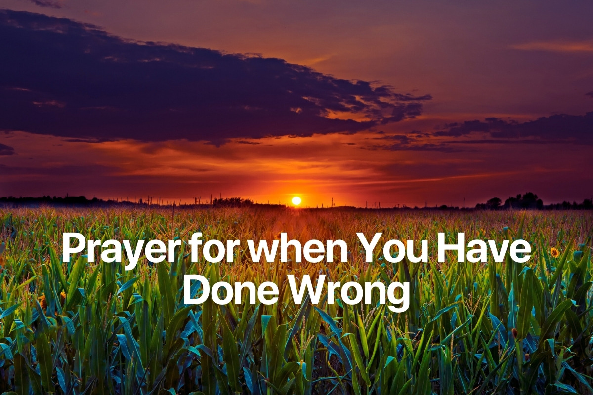 Prayer for when You Have Done Wrong