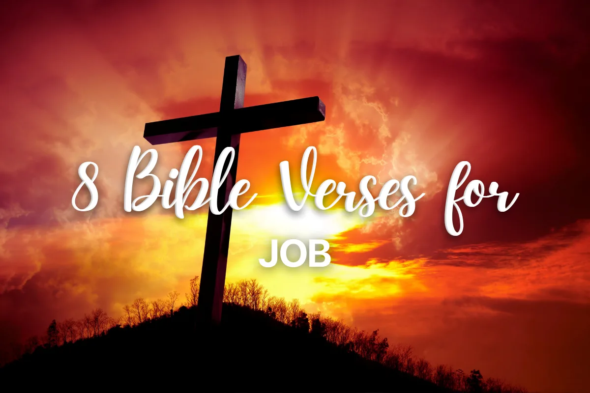 8 Bible Verses for Job